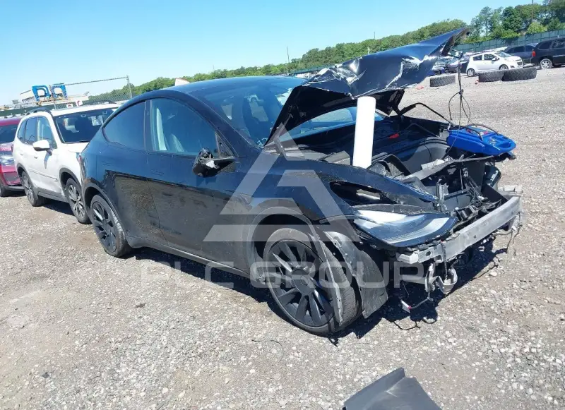 2023 Tesla Model Y фото