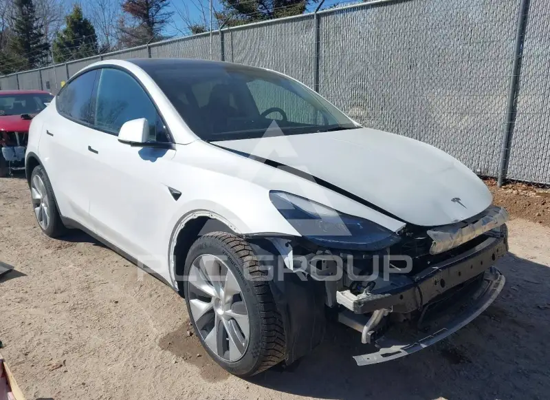 2023 Tesla Model Y фото