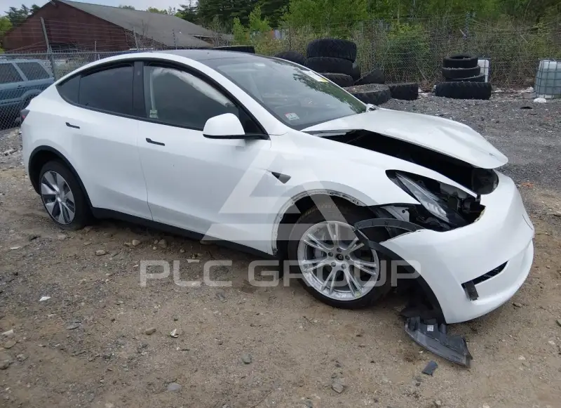2023 Tesla Model Y фото