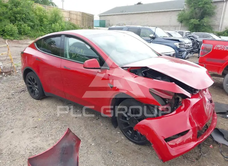 2023 Tesla Model Y фото
