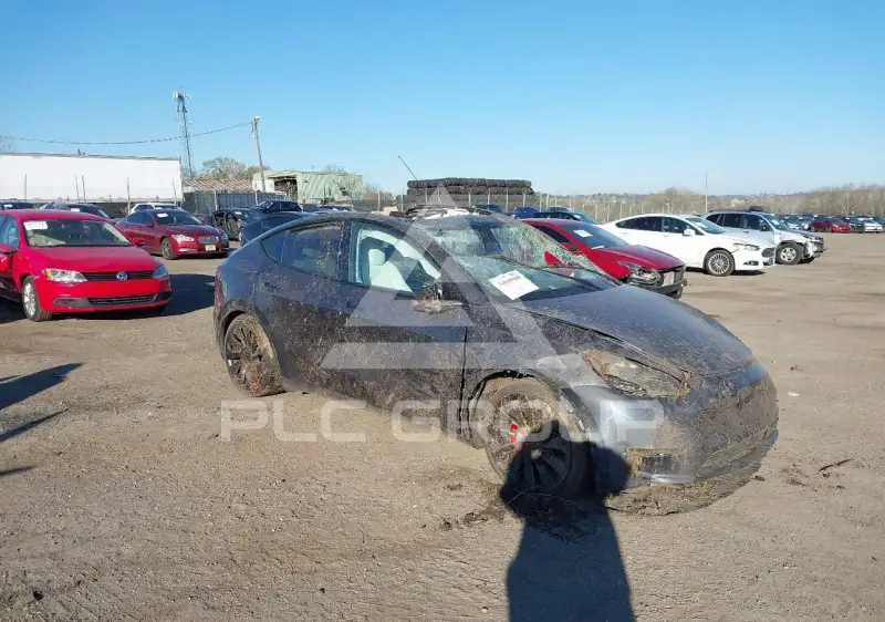 2023 Tesla Model Y фото