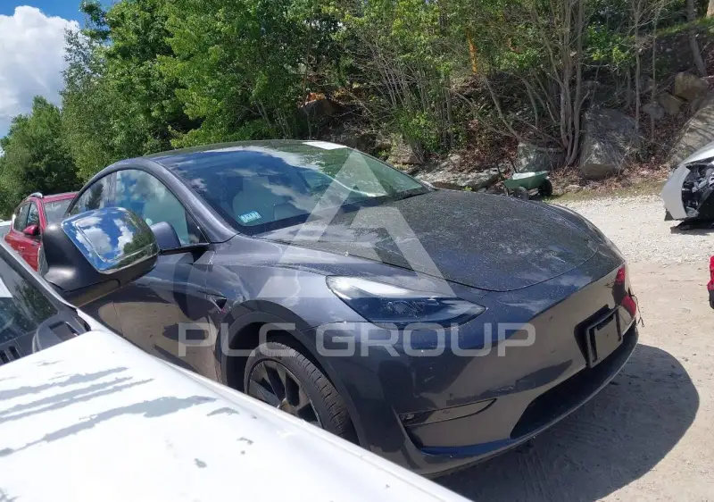 2023 Tesla Model Y фото