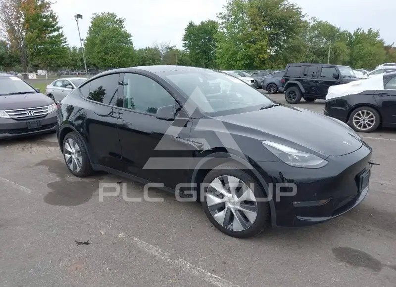 2023 Tesla Model Y photo