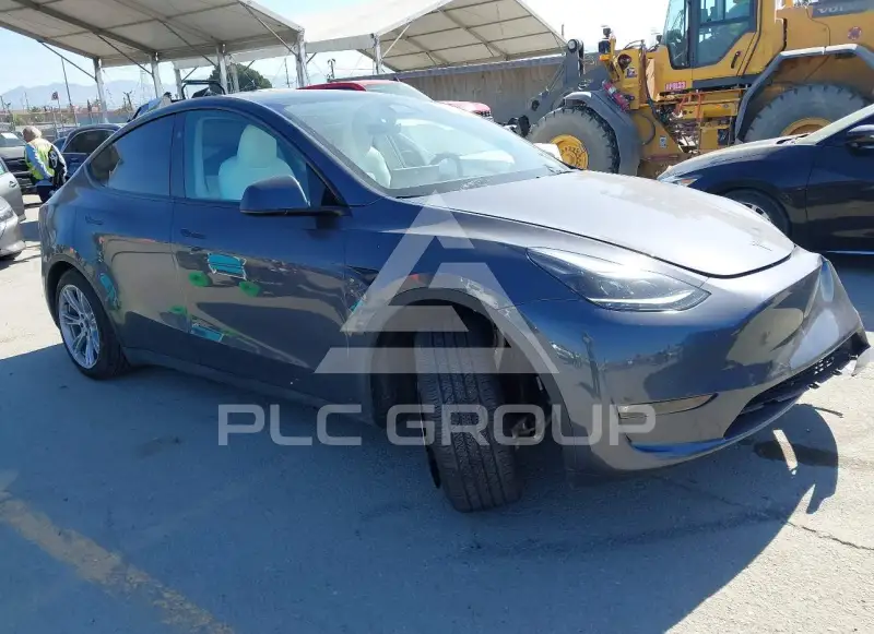 2023 Tesla Model Y photo