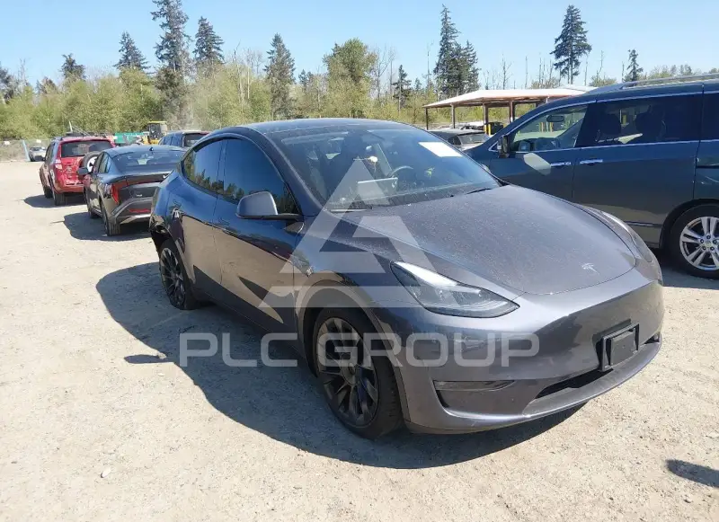 2023 Tesla Model Y photo