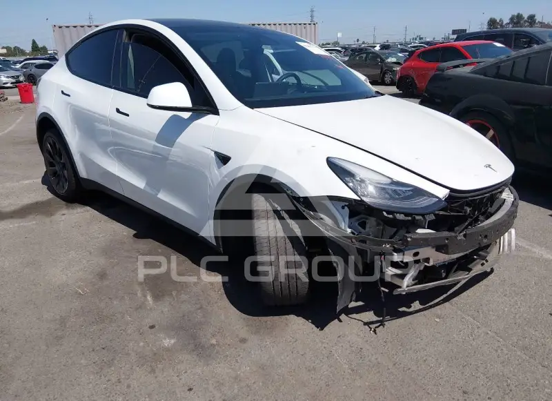 2023 Tesla Model Y фото