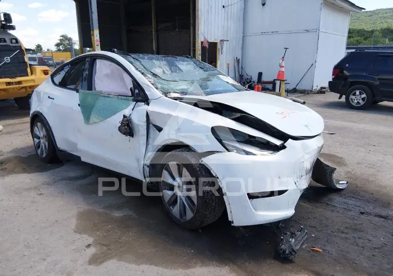 2023 Tesla Model Y фото
