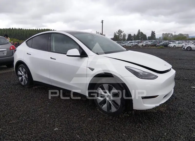 2023 Tesla Model Y фото