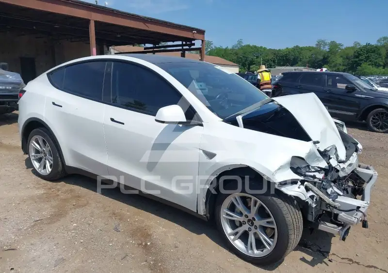 2023 Tesla Model Y photo