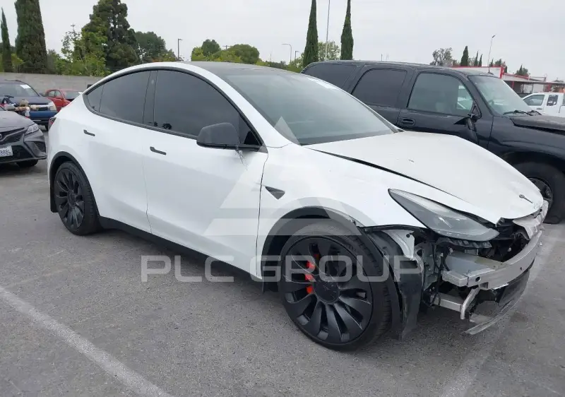2023 Tesla Model Y photo
