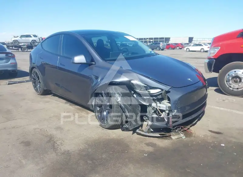 2023 Tesla Model Y фото