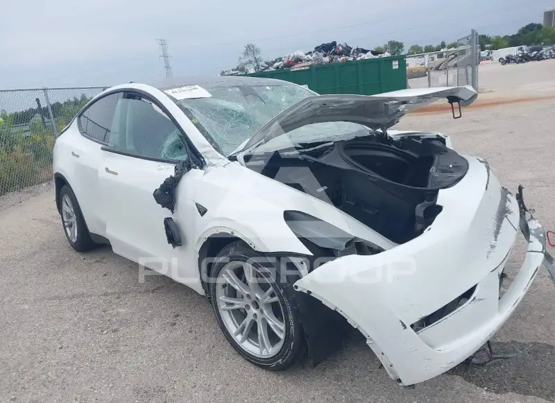 2023 Tesla Model Y фото