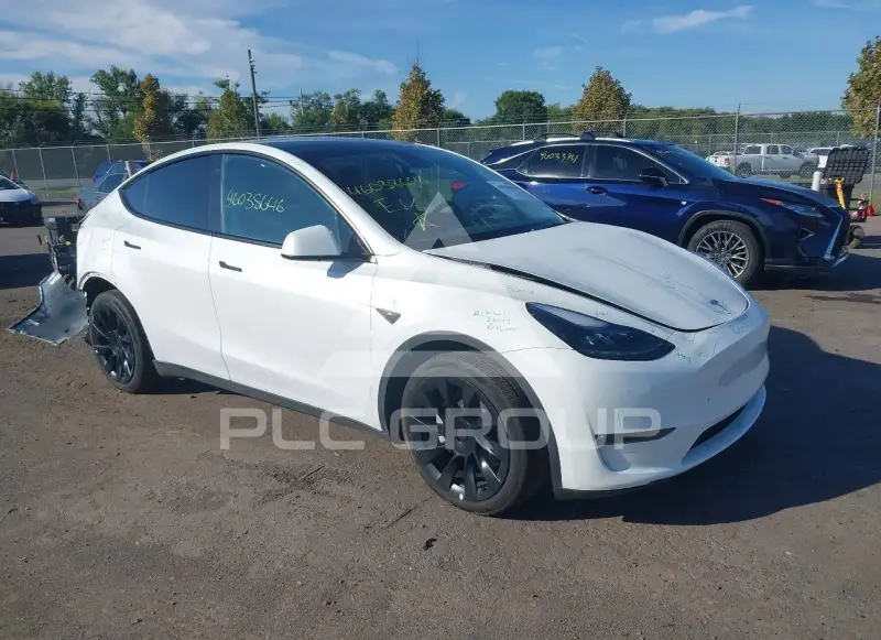 2023 Tesla Model Y фото