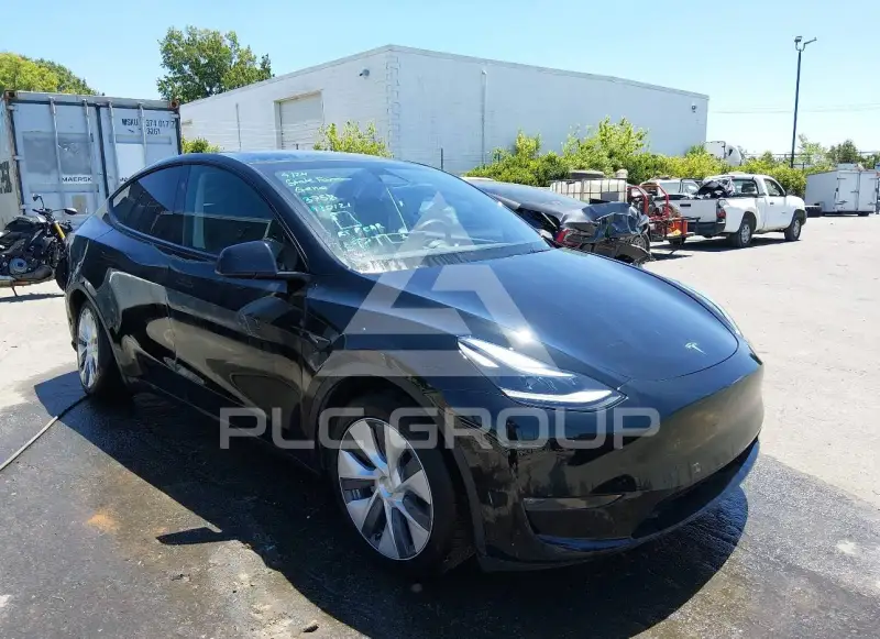 2023 Tesla Model Y photo