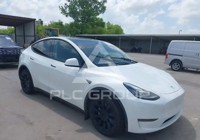 2023 Tesla Model Y photo