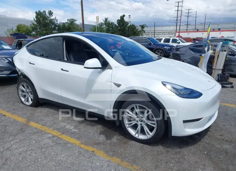 2023 Tesla Model Y фото