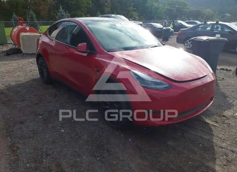 2023 Tesla Model Y фото