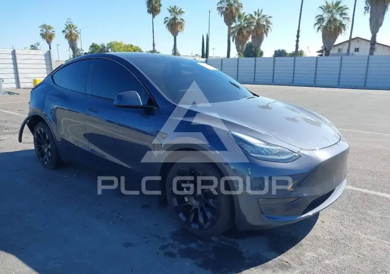 2023 Tesla Model Y фото