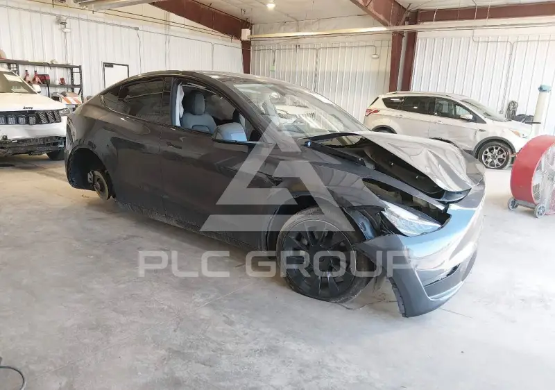 2023 Tesla Model Y фото