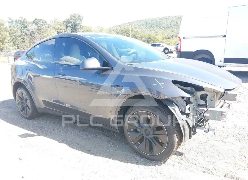 2023 Tesla Model Y фото