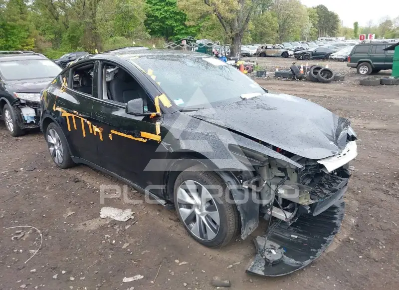 2023 Tesla Model Y фото