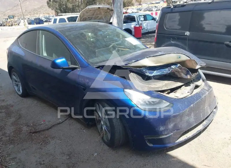 2023 Tesla Model Y фото