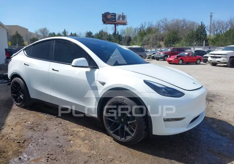 2023 Tesla Model Y photo