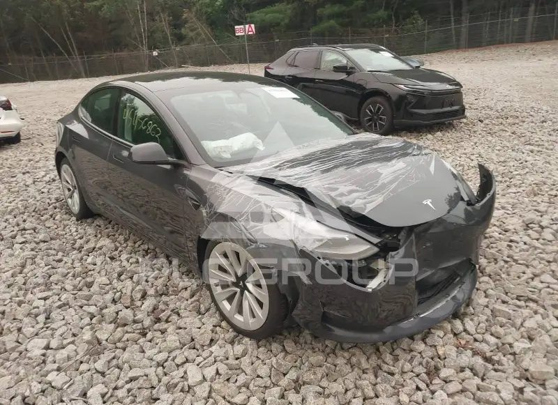 2023 Tesla Model 3 photo