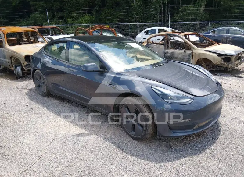2023 Tesla Model 3 фото