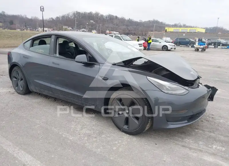 2023 Tesla Model 3 photo