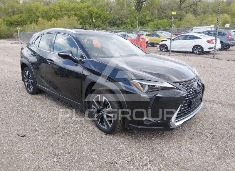2023 Lexus UX250 фото