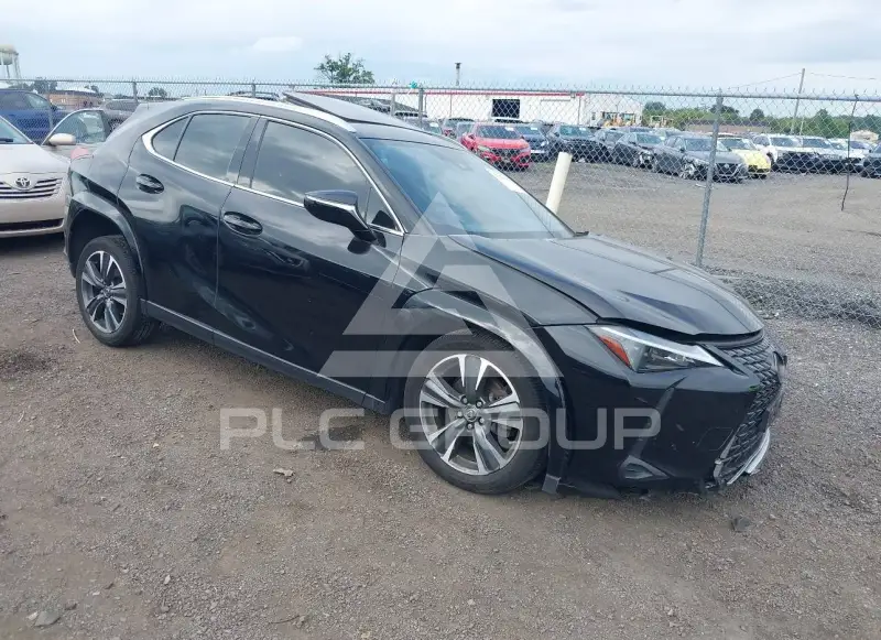 2023 Lexus UX250 photo