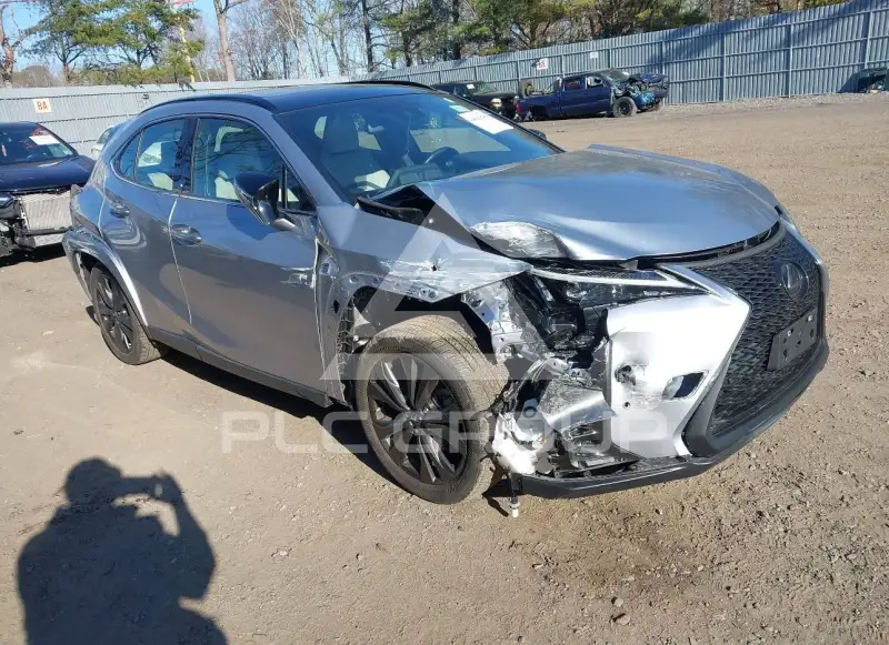 2023 Lexus UX250 photo