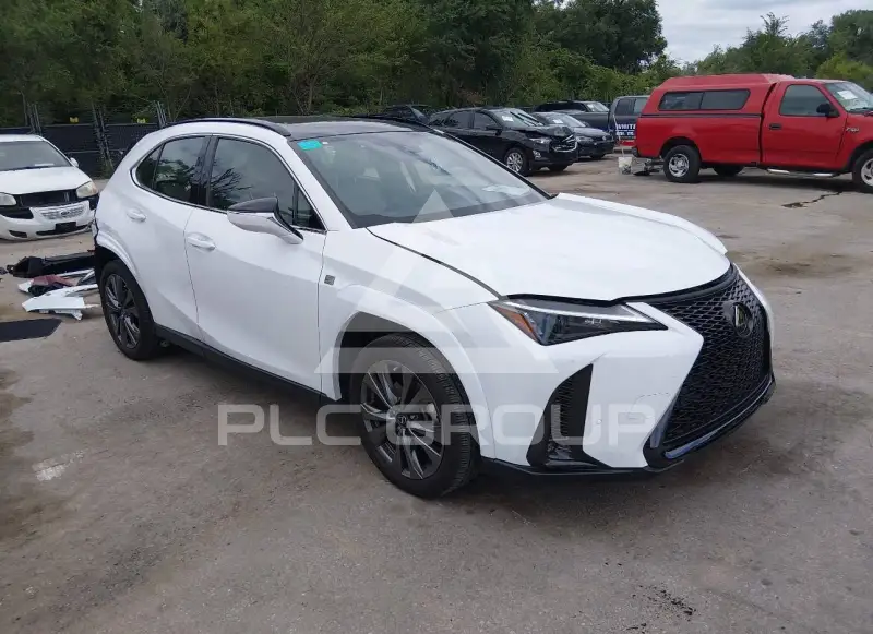 2023 Lexus UX250 photo