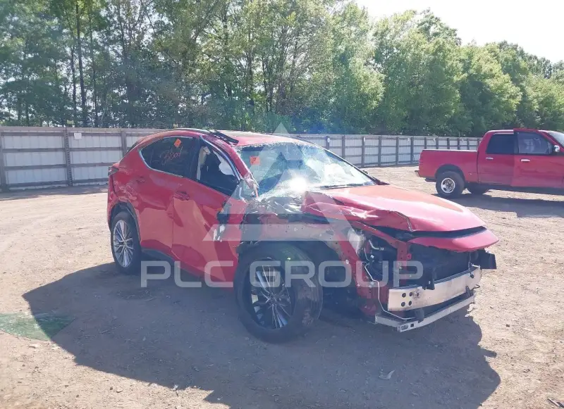 2023 Lexus NX250 фото