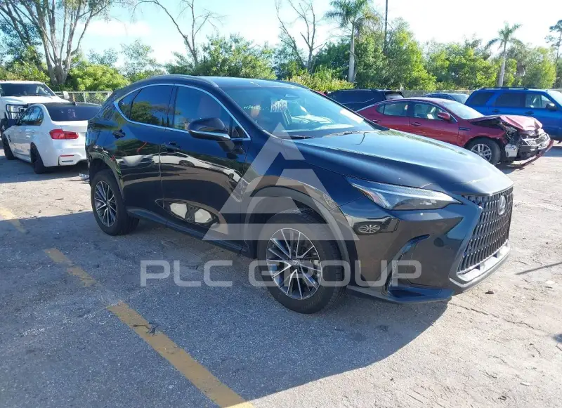 2023 Lexus NX250 фото
