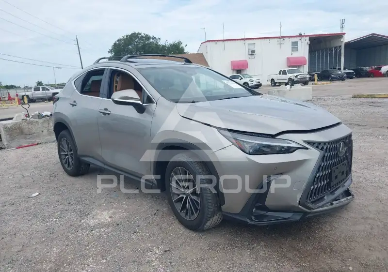 2023 Lexus NX250 photo