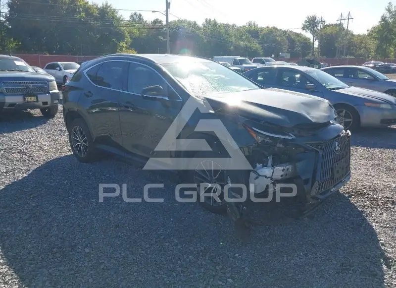 2023 Lexus NX250 photo