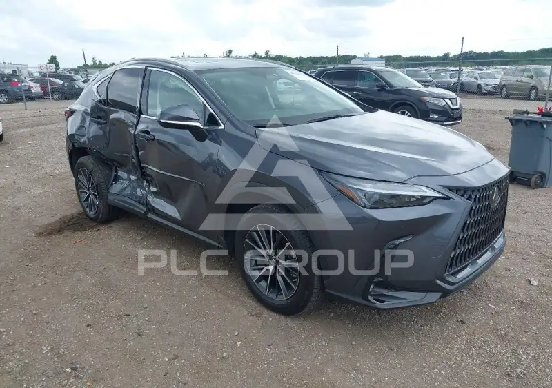 2023 Lexus NX250 photo