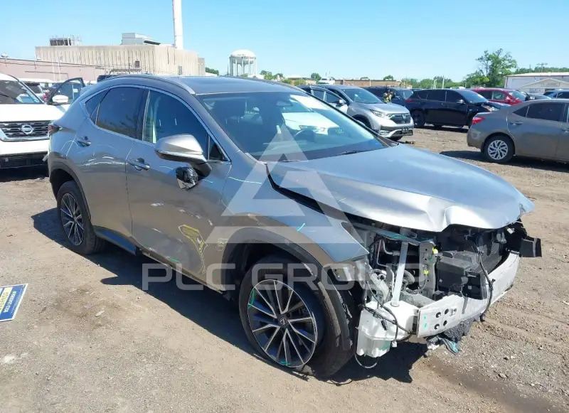 2023 Lexus NX250 фото
