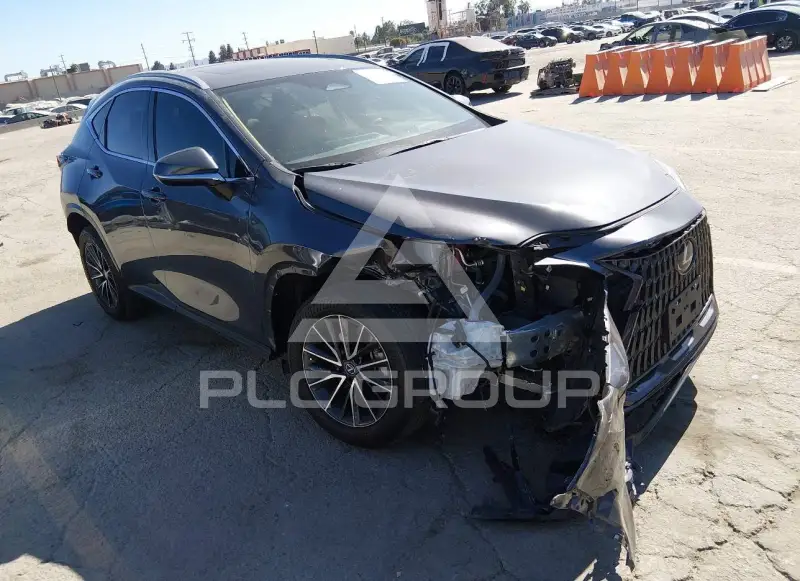 2023 Lexus NX250 photo