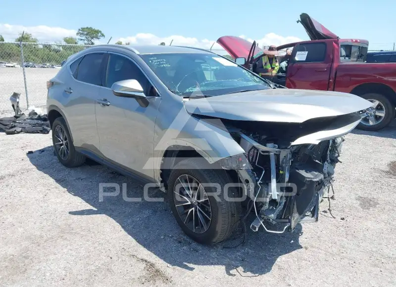 2023 Lexus NX250 фото