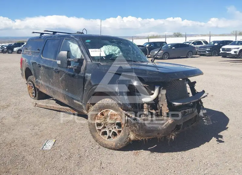 2023 Ford F-150 photo