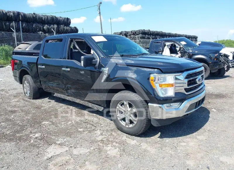 2023 Ford F-150 photo