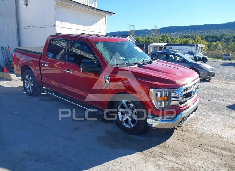 2023 Ford F-150 фото