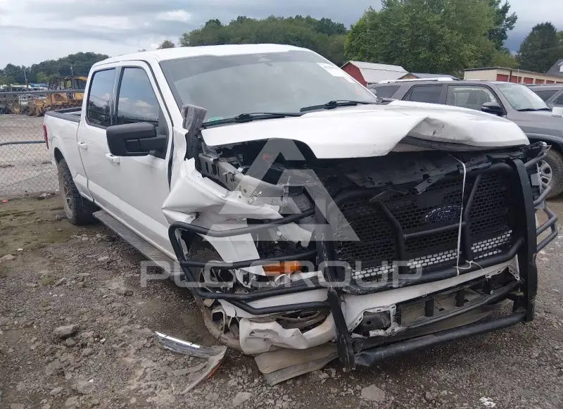 2023 Ford F-150 photo