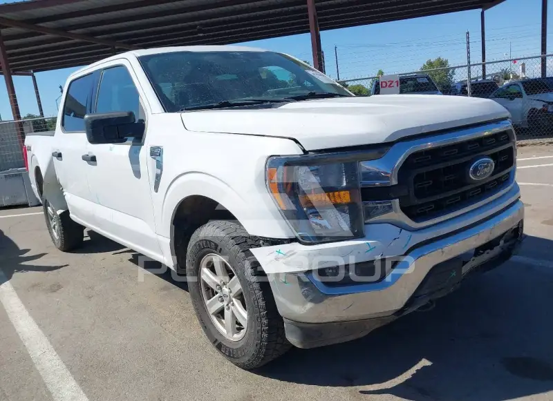 2023 Ford F-150 фото