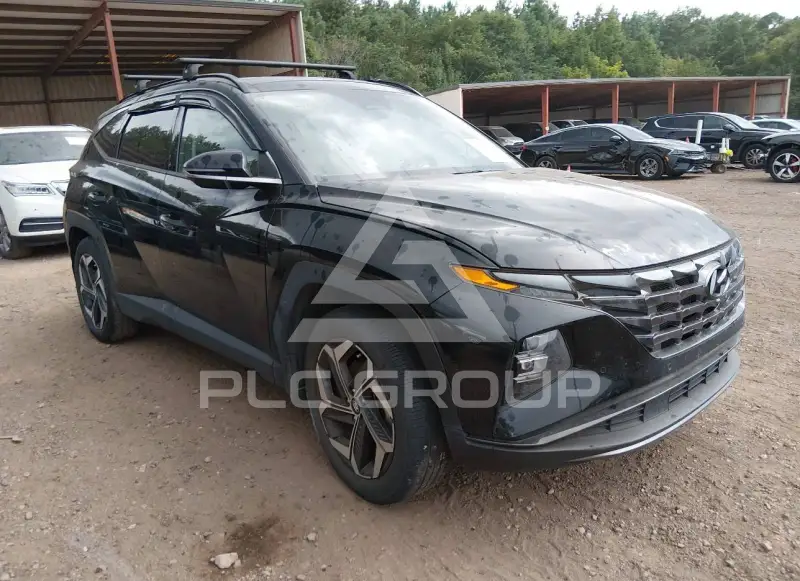 2023 Hyundai Tucson photo
