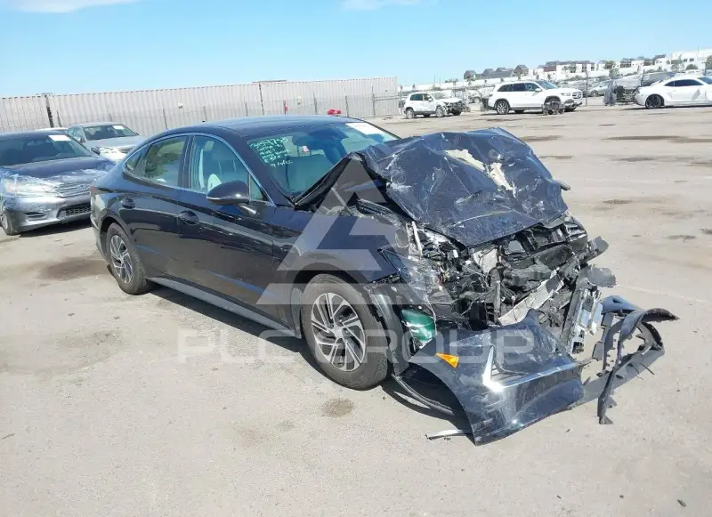 2023 Hyundai Sonata photo