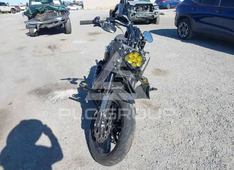 2024 Harley-Davidson FXLR фото